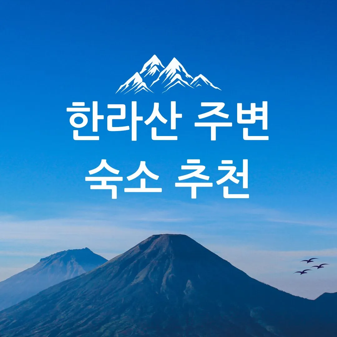 한라산 주변 숙소 추천